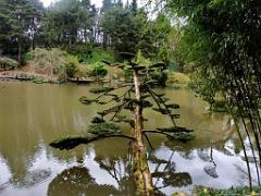 149 PARC ORIENTAL DE MAULEVIER MAINE ET LOIRE 2016 N2_000026